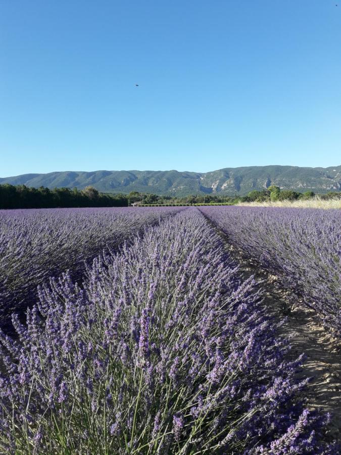 Gite Le Bagnol Un Coin De Paradis Maubec  Екстериор снимка