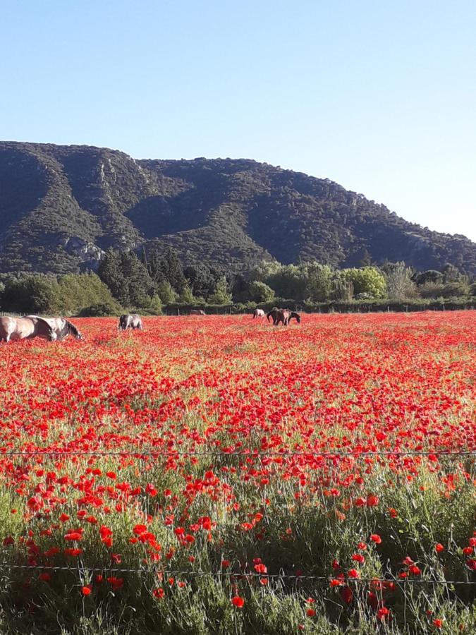 Gite Le Bagnol Un Coin De Paradis Maubec  Екстериор снимка